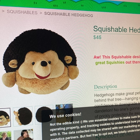 Retired Squishable hedgehog - Picture 4 of 4